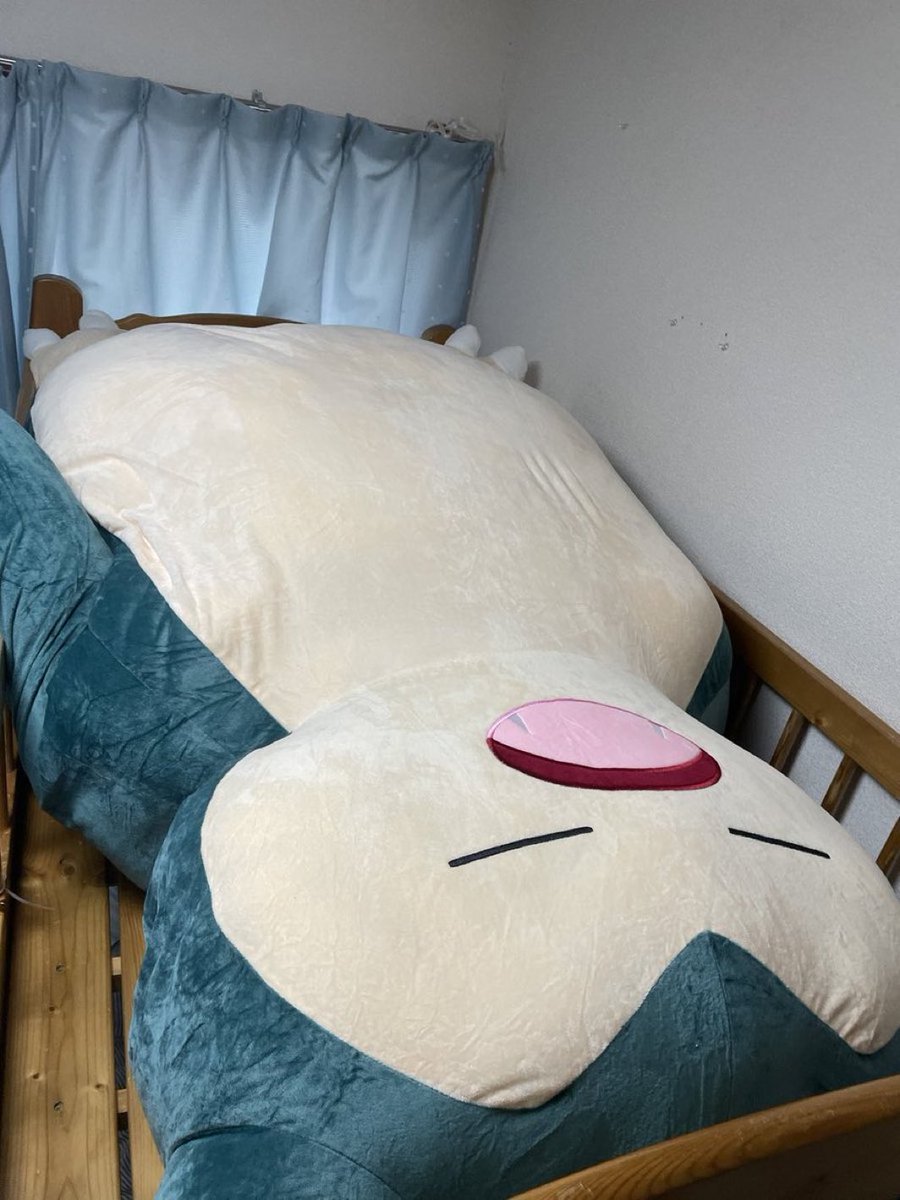 サイズ間違えて買ったカビゴンまだ面白い