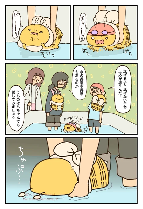 泳ぐはち(1/2) 