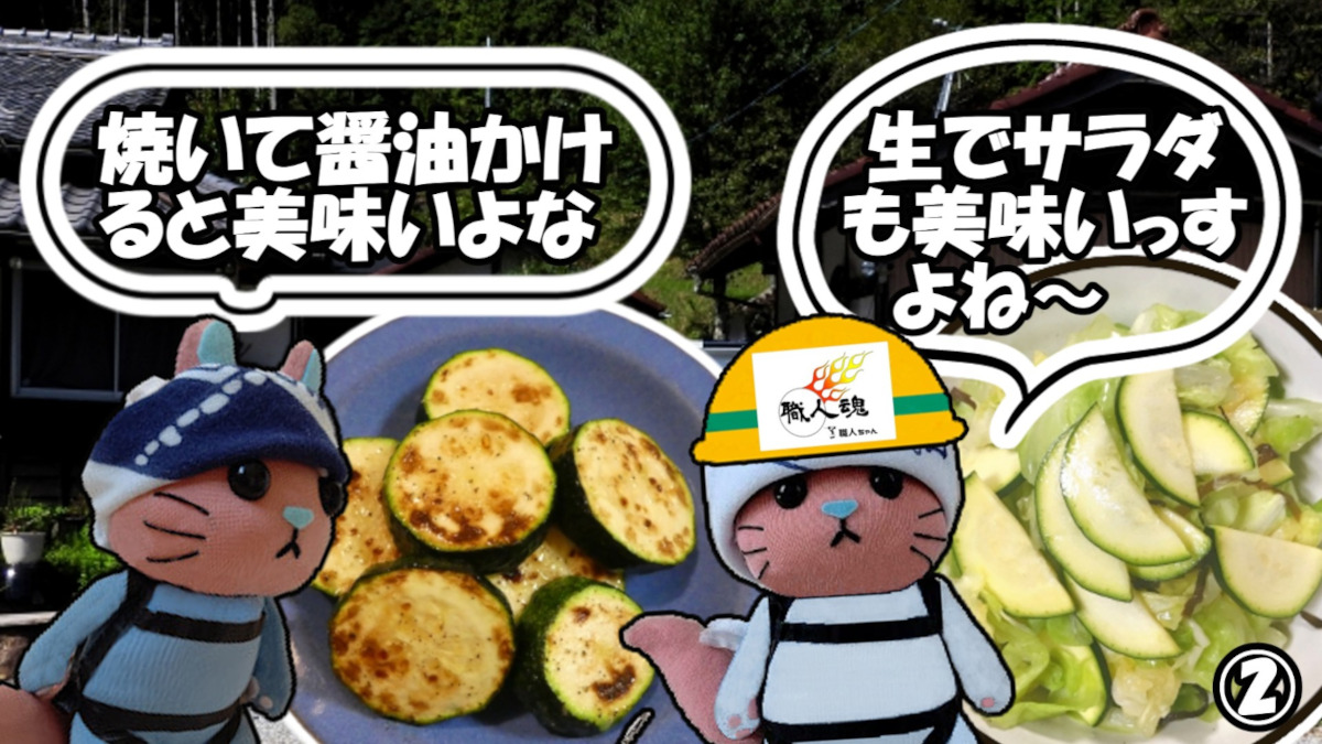 shokuninchan's tweet photo. 362話　ズッキーニ 🥒🥒🥒
#でら猫職人4コマ漫画　＃職人魂ステッカー
4コマ漫画【でら猫職人】は、サイト【職人ちゃん】の「メニュー」→「4コマ漫画でら猫職人」からも一気読みできます😋✨
https://t.co/F3wYI0TRuz　（直通URL） https://t.co/v9nIeGpKyb