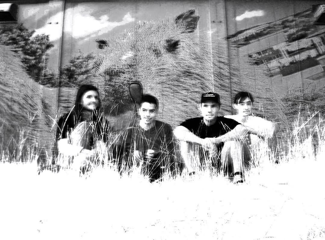 オトトイ tweet media