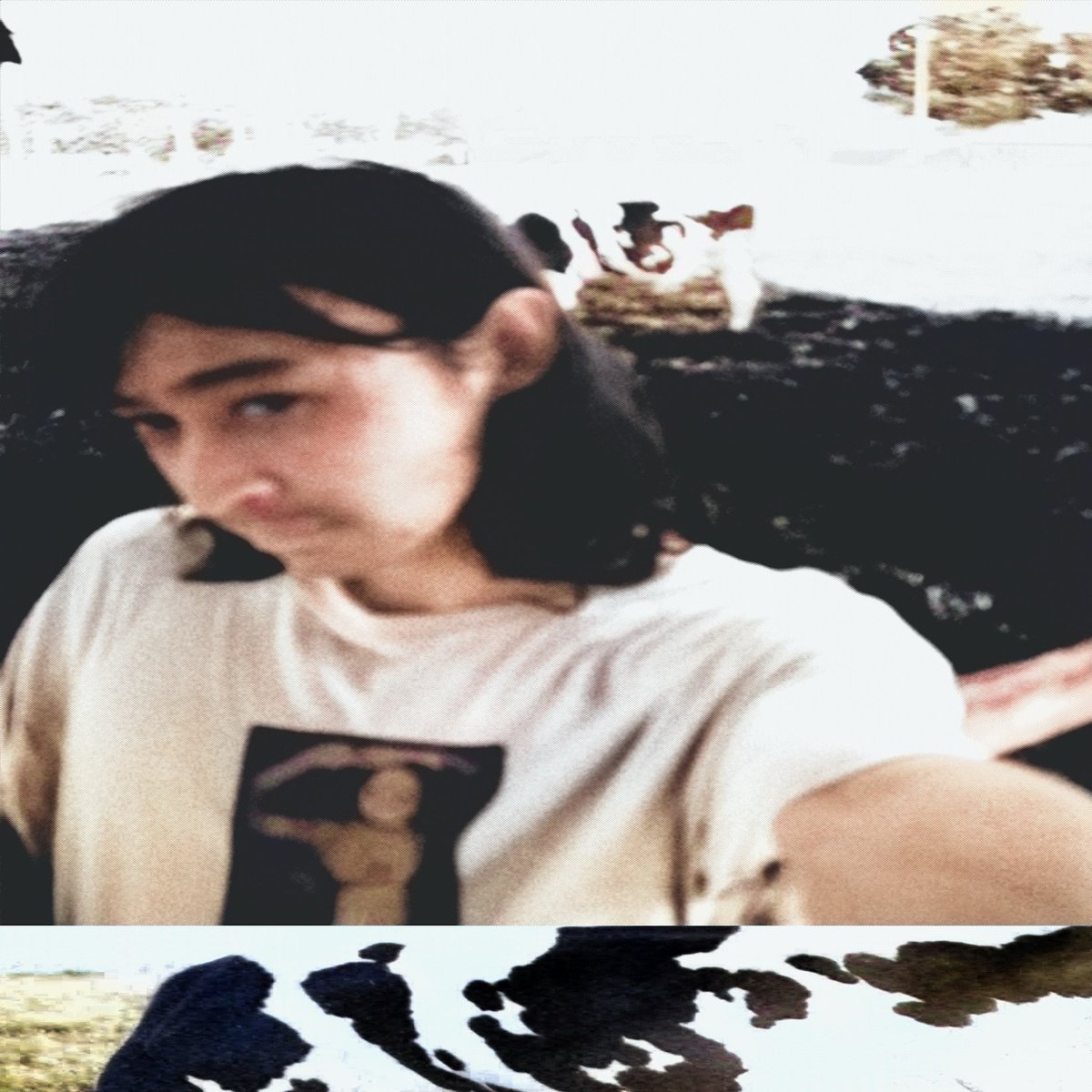 オトトイ tweet media