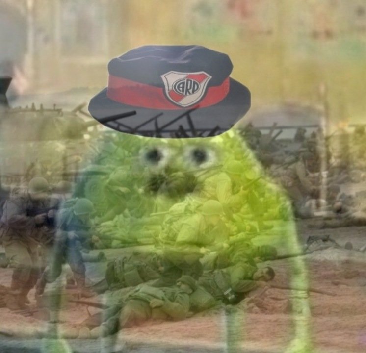 Gєямαη 🐔 tweet media