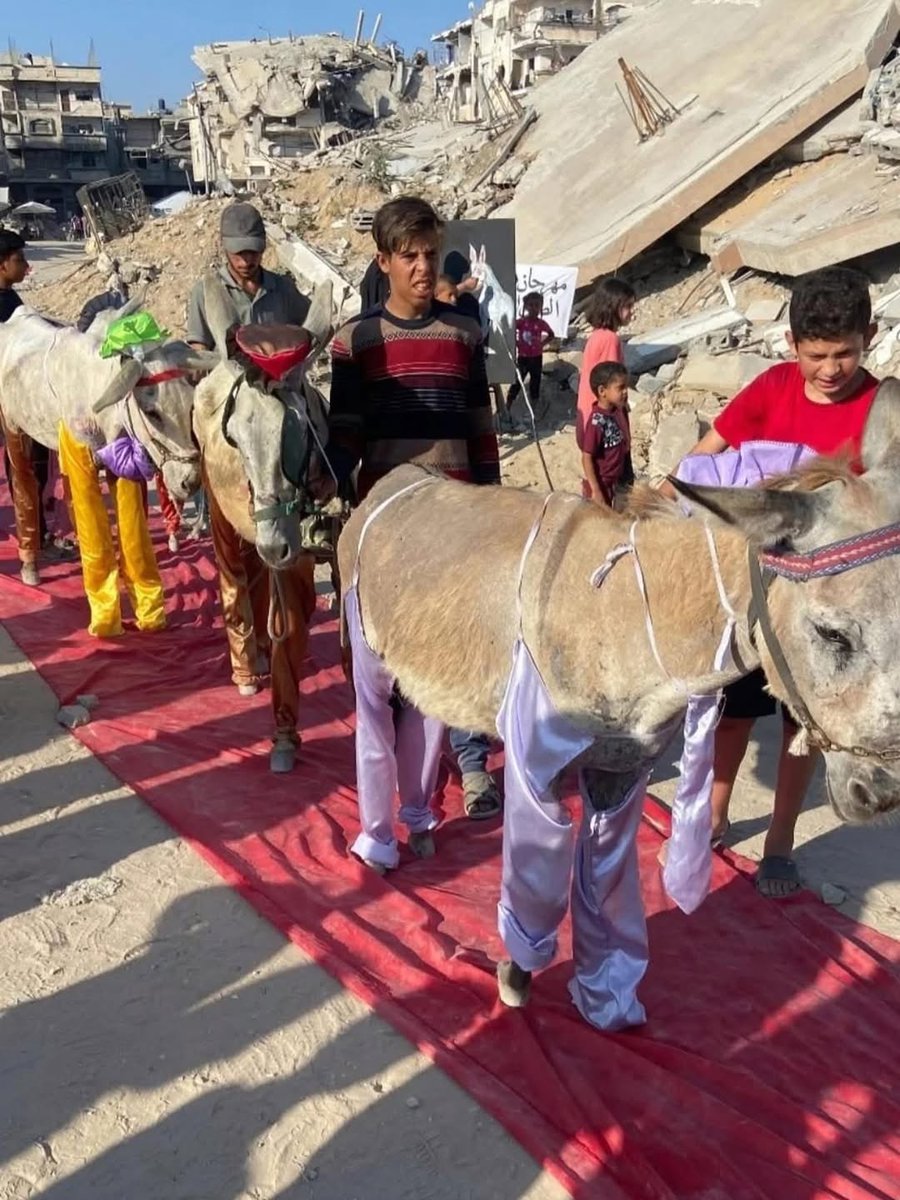 Tariq Ali tweet media