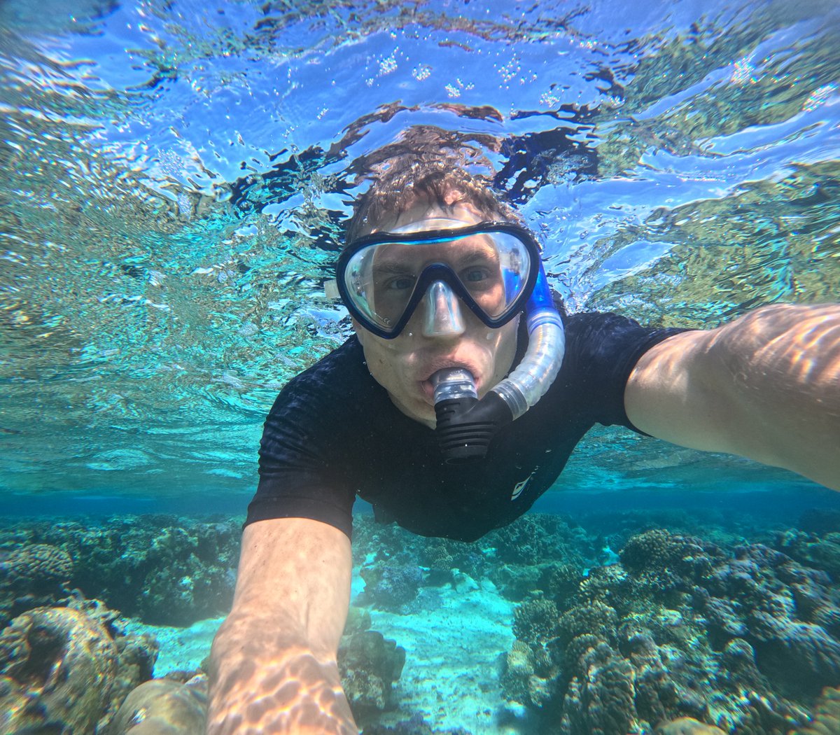 AdamSpliid's tweet image. Good morning friends & fish 🐠
Wish you all an awesome day - conquer it