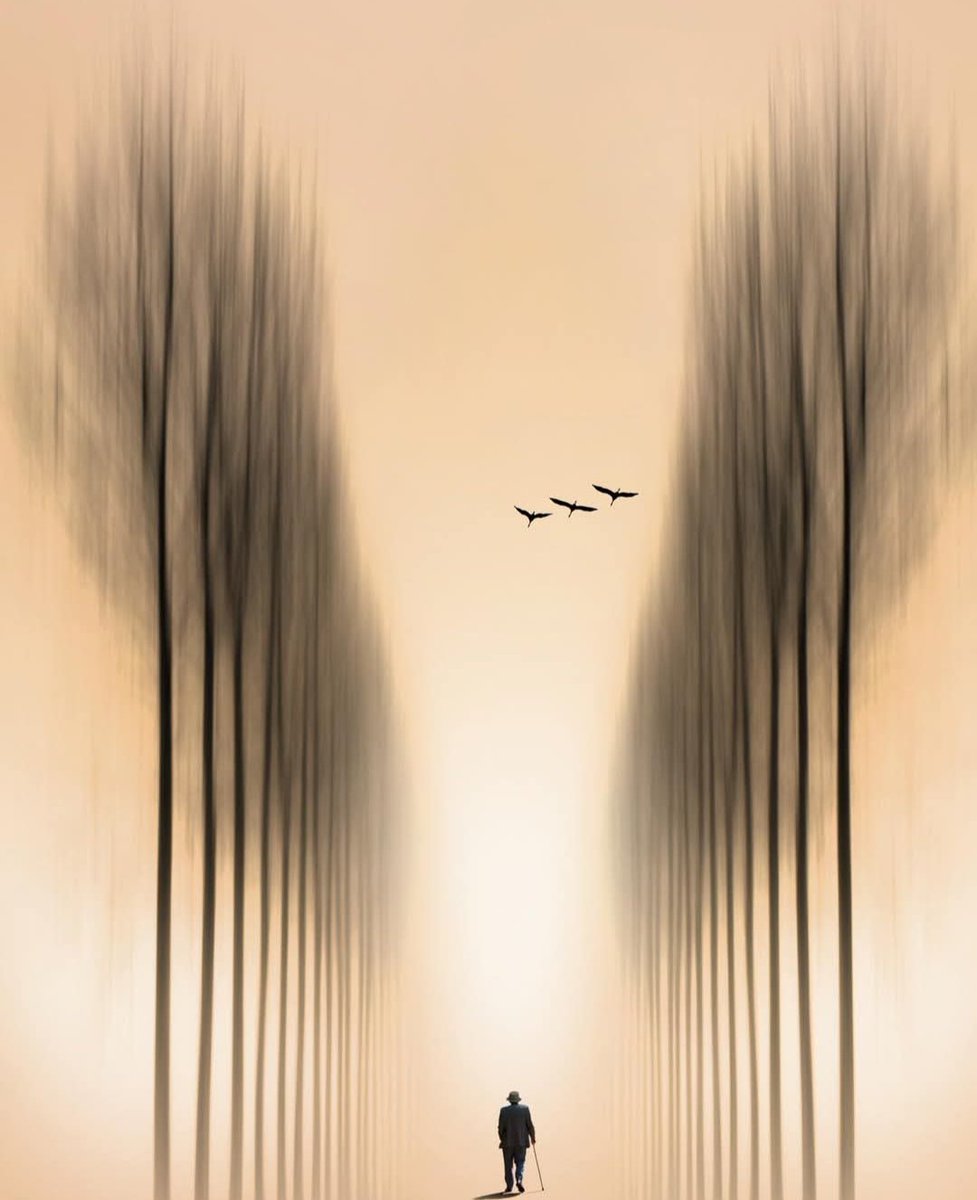 " İnsanı haykıramayacak hale getiren şu boşluk ."
      Albert Camus 
      Günaydın ☕🌸☀️☀️