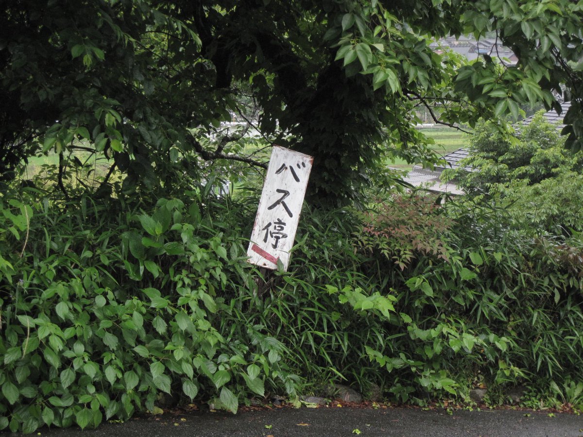 Kyotoのミドリ..🍃🎐🎋