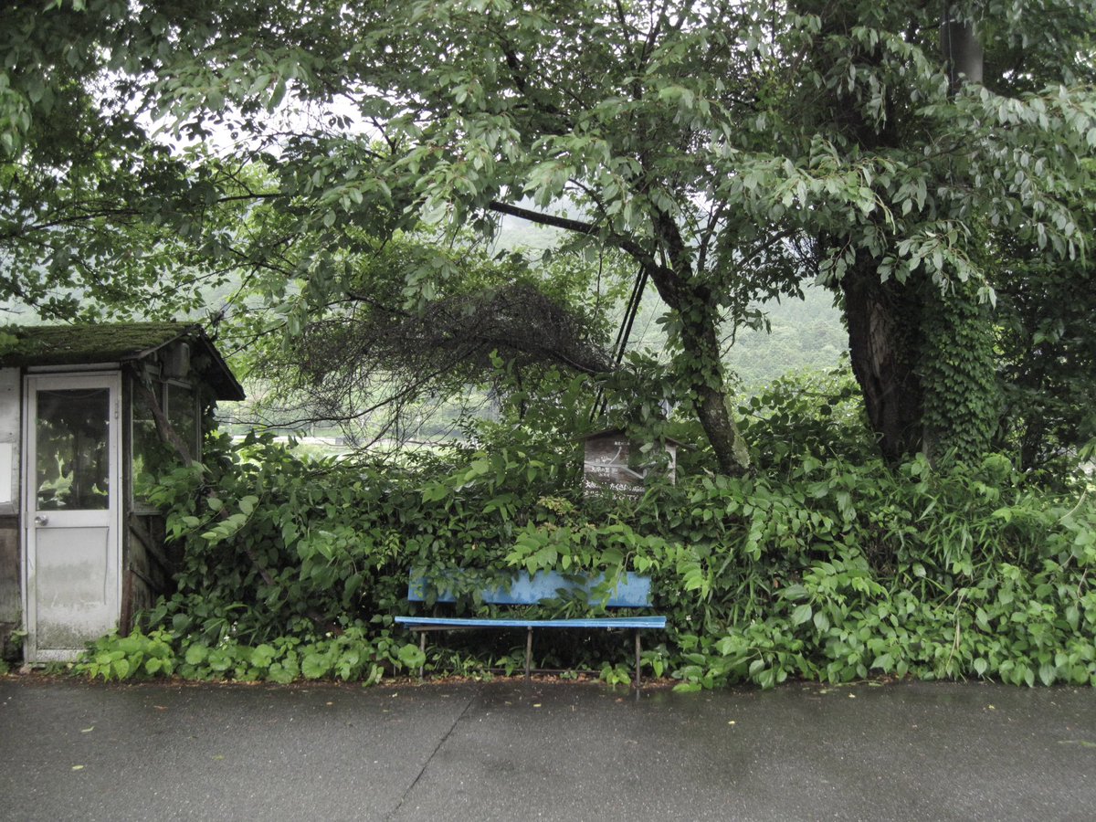 duelree's tweet photo. Kyotoのミドリ..🍃🎐🎋 https://t.co/TgBgDHqI4C