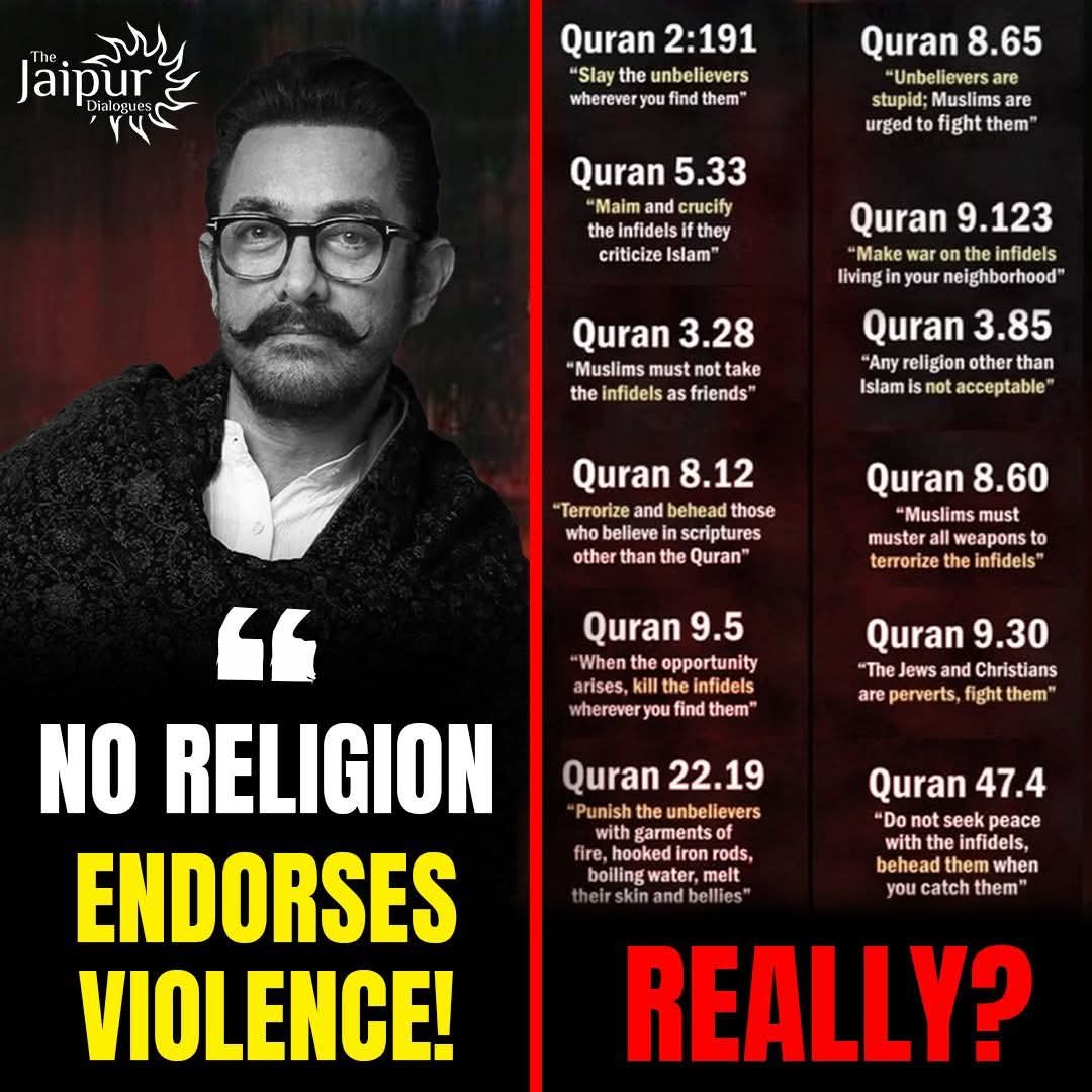 Irony at its peak amir ❤️day