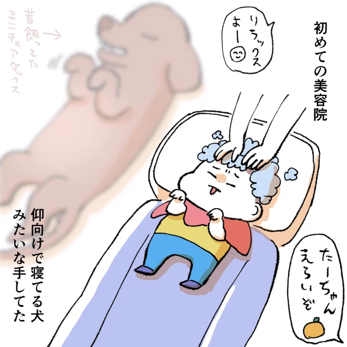 この間、親戚のおじさんがやってる美容院でカットしてもらいました💇✨
初めてのシャンプー台で手のやり場に困ってるたーちゃんがおもしろ可愛かったです😂 