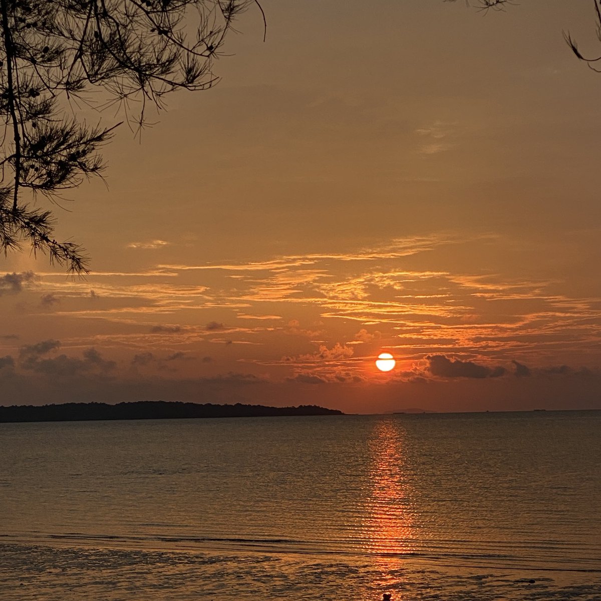 aturfocus tweet media