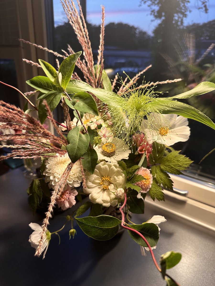 Good morning ☕️🌻
Happy Wednesday🙏☺️