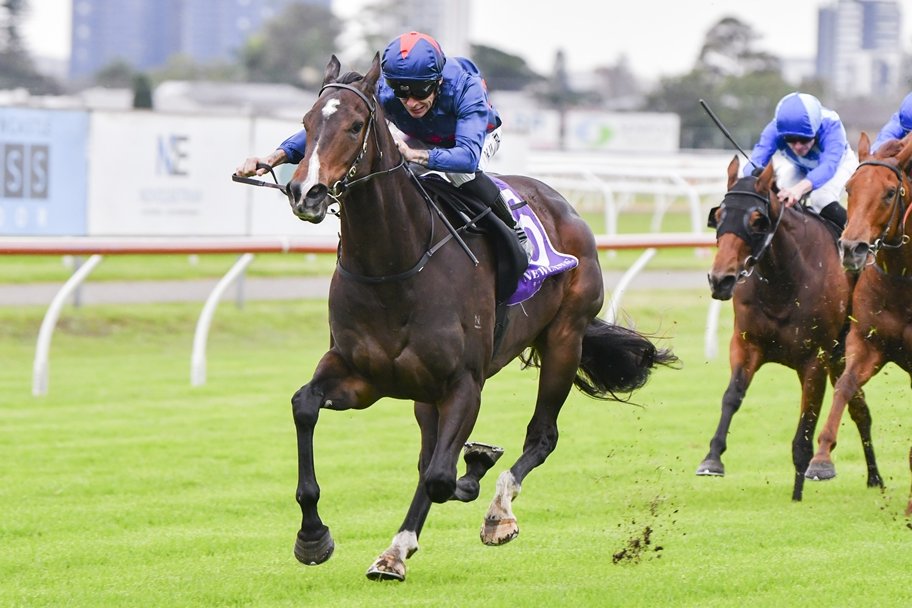 Racing NSW (@racing_nsw) on Twitter photo “She’s doing an awesome job, she’s pretty much the billboard for me at the moment."
Paul Snowden, now based at Port Macquarie, returns to Randwick on Saturday to chase a hat-trick with his promising filly Lunaite. 📸 <a href="/Bradley_Photos/">Bradley Photos</a>
READ: tinyurl.com/yk3hbnzp “She’s doing an awesome job, she’s pretty much the billboard for me at the moment."
Paul Snowden, now based at Port Macquarie, returns to Randwick on Saturday to chase a hat-trick with his promising filly Lunaite. 📸 <a href="/Bradley_Photos/">Bradley Photos</a>
READ: tinyurl.com/yk3hbnzp