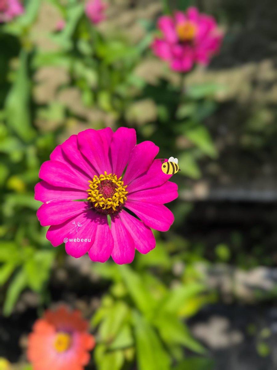 It's a beautiful day... 

Terima kasih banyak atas ucapan dan doa baiknya yaa 🤍

Love youuu! 🐝