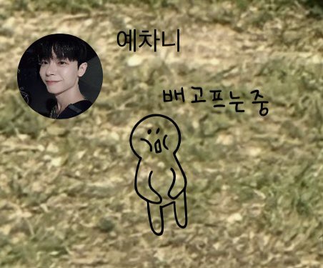 진짜 너무 기엽다