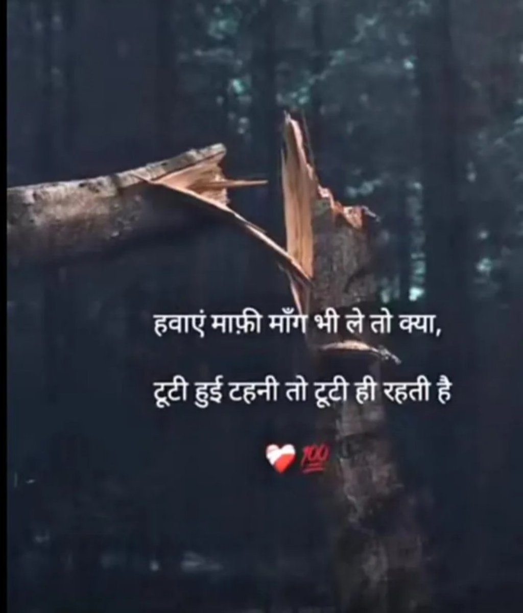 HanshaBenPatel1's tweet image. हवाएं माफी मांग भी ले तो क्या,
टूटी हुई टहनी तो टूटी ही रहती है .