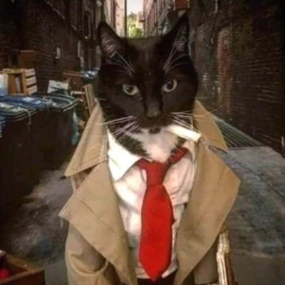 redbeanyearnin's tweet image. #NewProfilePic