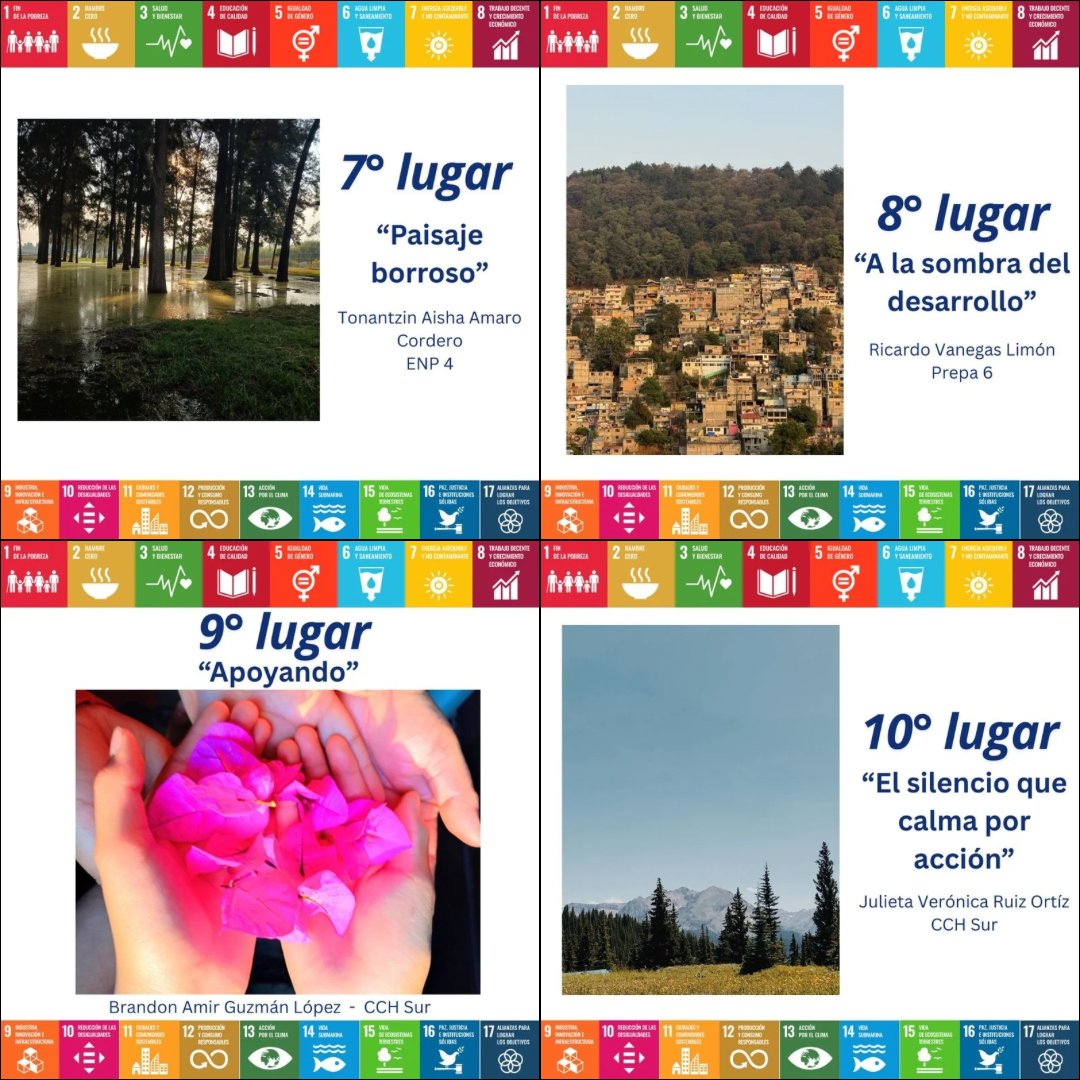 LobbyingSocial's tweet photo. Ayer Lunes 16 de Junio, concluimos el certamen “Triada Sustentable y Sostenible: Visión 2045” premiando a 10 ganadores en 3 categorías diferentes…🏆🇺🇳

Aquí tienen los trabajos ganadores de la categoría de FOTOGRAFÍA. 📸
@ONUMX  @PUDHUNAM https://t.co/rZbbQmeTjO