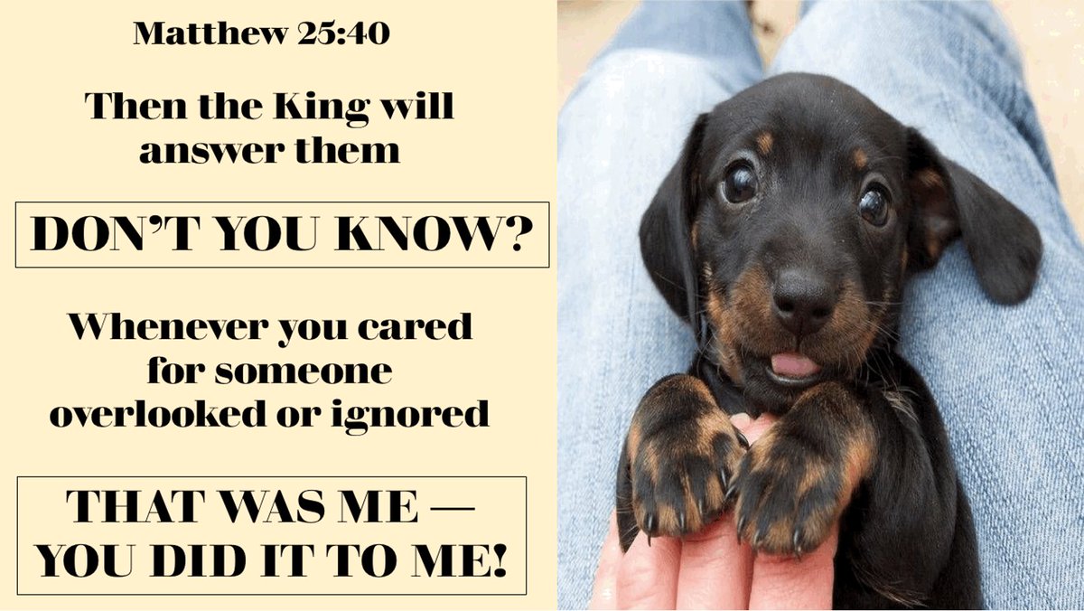 <a href="/WOW_ANIMALS1/">Wow Animals</a> God bless you!!!