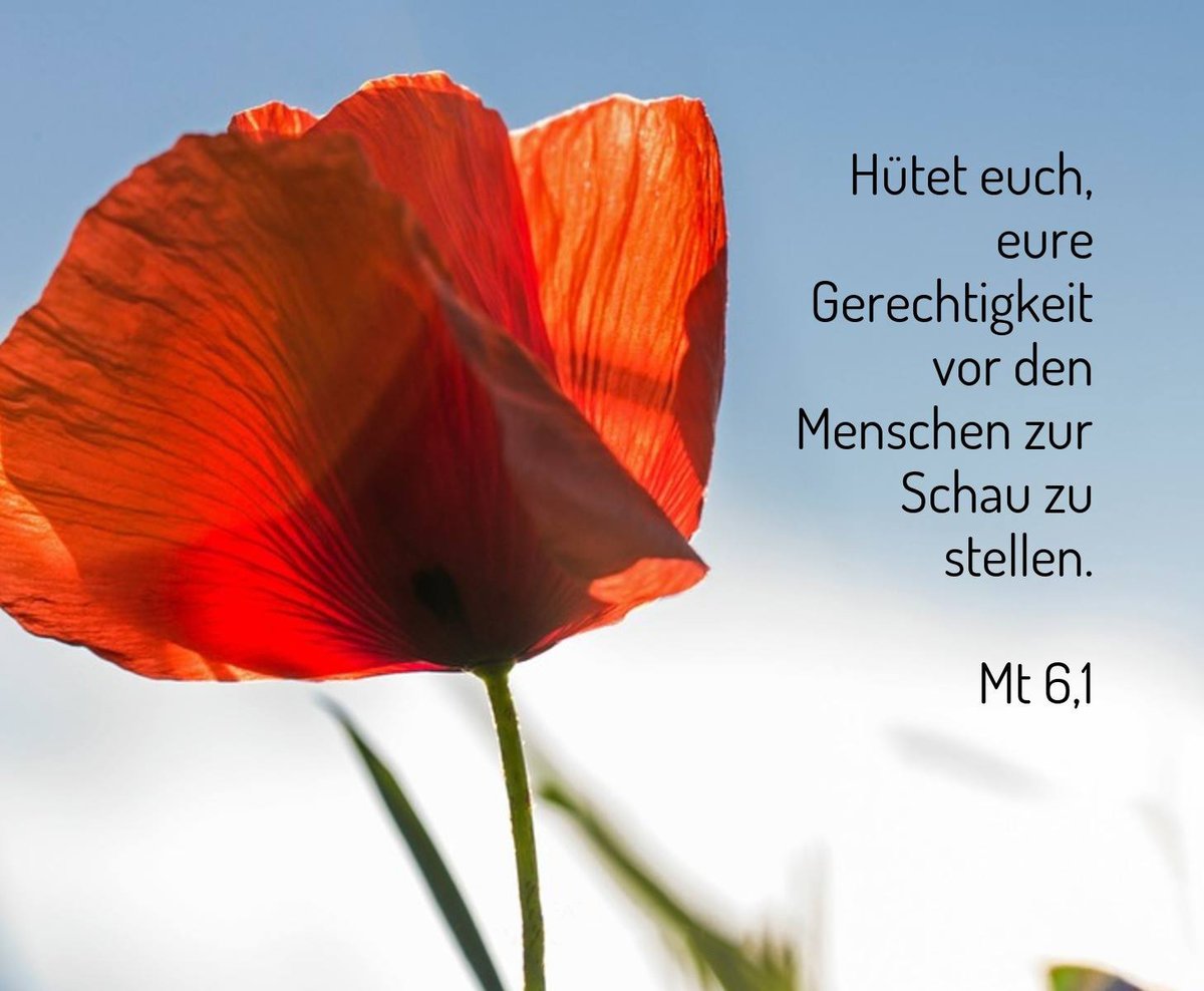 #GutenMorgen #TaEv #TagesEvangelium