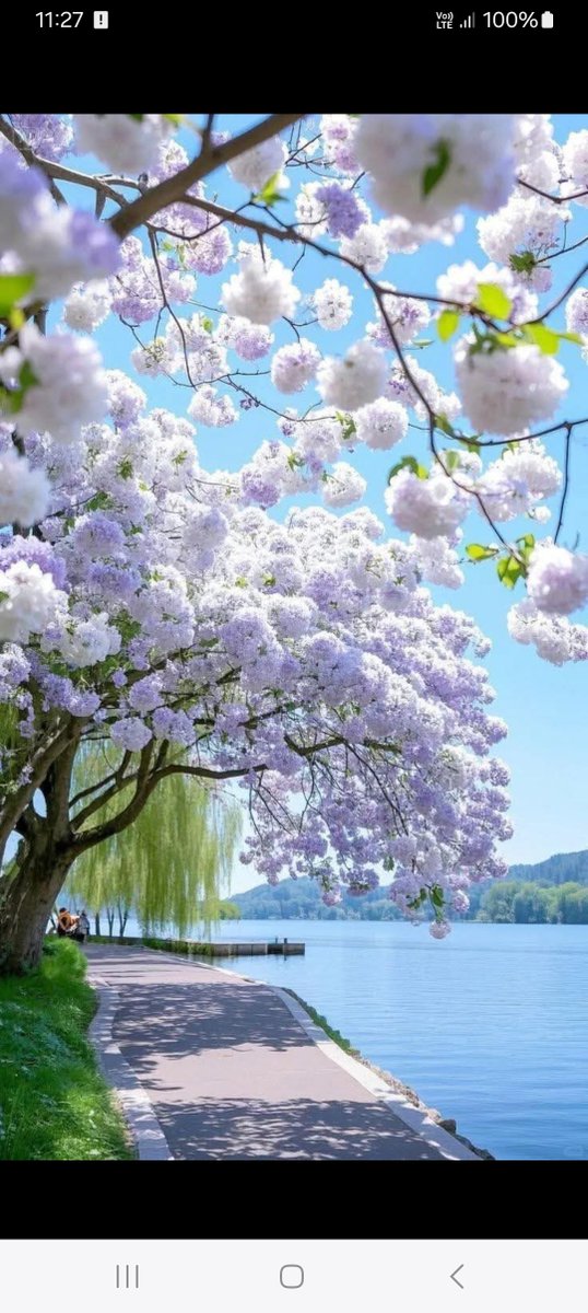 Good morning 🌹🍀☕🍀☀️