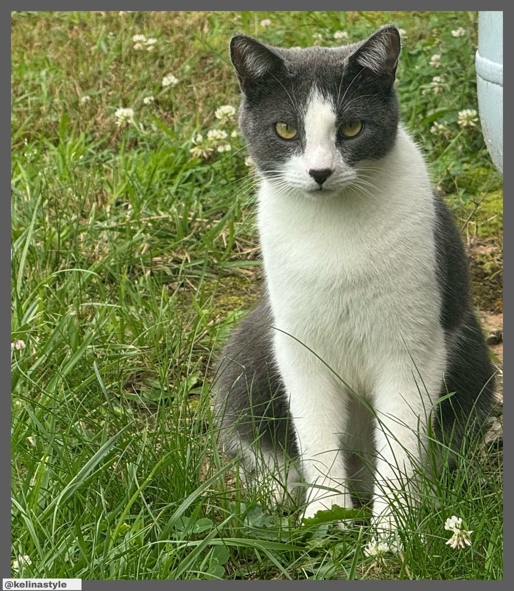 Kelina Style (@kelinastyle) on Twitter photo 