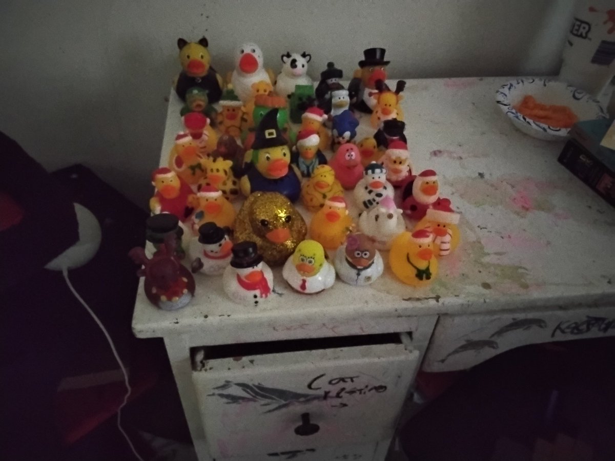 comedyiskey17's tweet photo. Assemble the ducks https://t.co/GlxnxWUzNp
