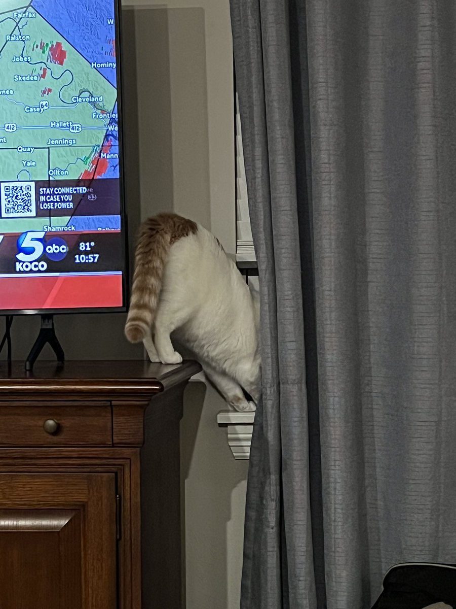 Purrcy helping <a href="/KOCOdamonlane/">Damon Lane</a> with the tornado warning 🌪️⛈️ #okwx