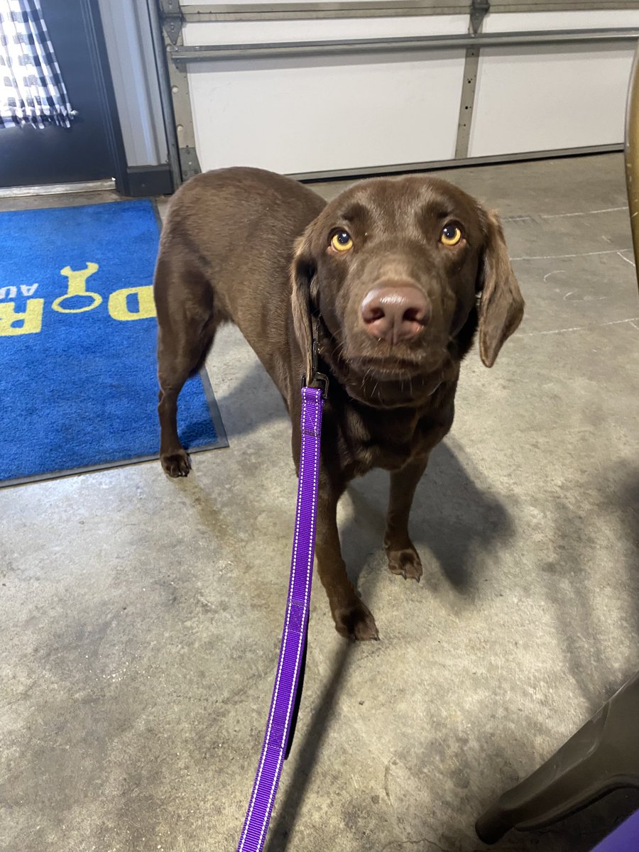 Disabled Paws🎗💛 tweet media