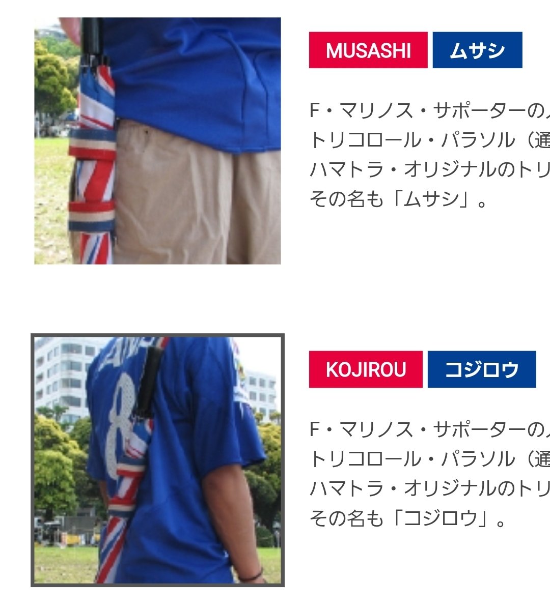 古のマリサポ御用達、ムサシとコジロウやないか...
hamatra.com/goods/goods.ht…