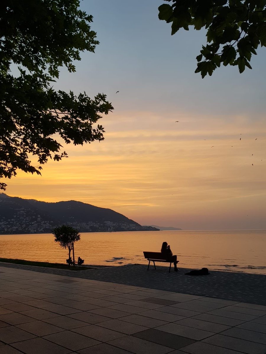 بحر 🌊 (@butterflless) on Twitter photo 