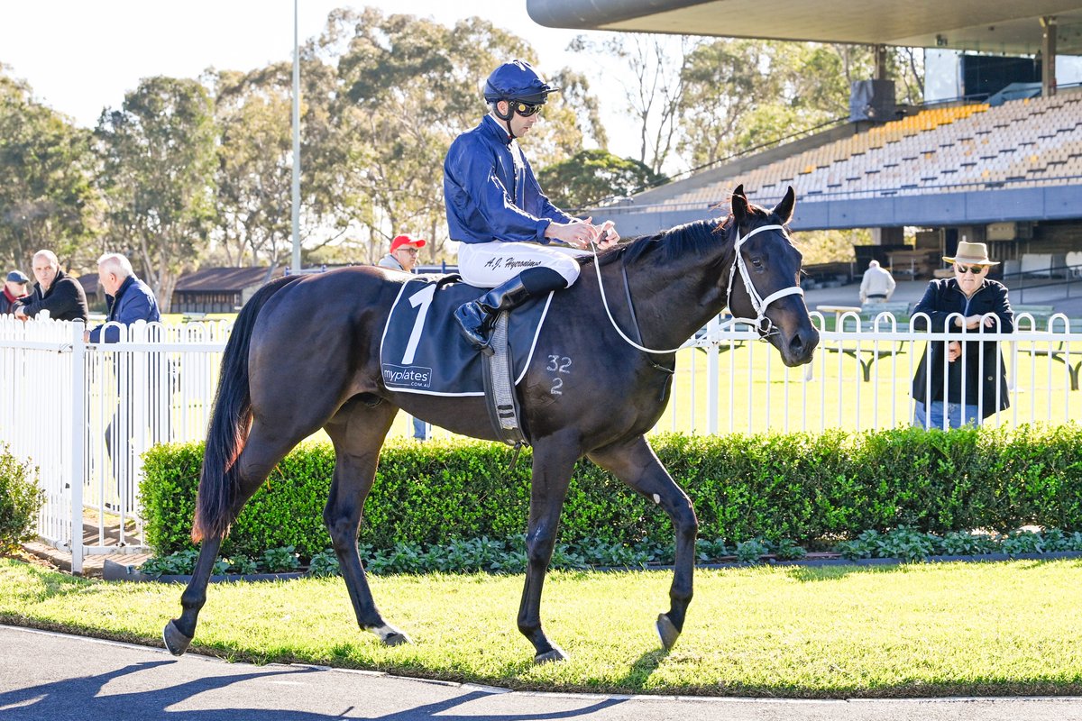 Tara Madgwick (@breednet) on Twitter photo He's a 'cool dude' - $1.4million Wootton Bassett colt Central Coast, second foal and second winner for Champion 3YO Filly Sunlight breednet.com.au/news/39985/fir… <a href="/cwallerracing/">Chris Waller Racing</a> <a href="/inglis_sales/">Inglis</a> <a href="/TomMagnier/">Tom Magnier Coolmore</a> <a href="/ColmSantry/">COLM SANTRY</a> He's a 'cool dude' - $1.4million Wootton Bassett colt Central Coast, second foal and second winner for Champion 3YO Filly Sunlight breednet.com.au/news/39985/fir… <a href="/cwallerracing/">Chris Waller Racing</a> <a href="/inglis_sales/">Inglis</a> <a href="/TomMagnier/">Tom Magnier Coolmore</a> <a href="/ColmSantry/">COLM SANTRY</a>