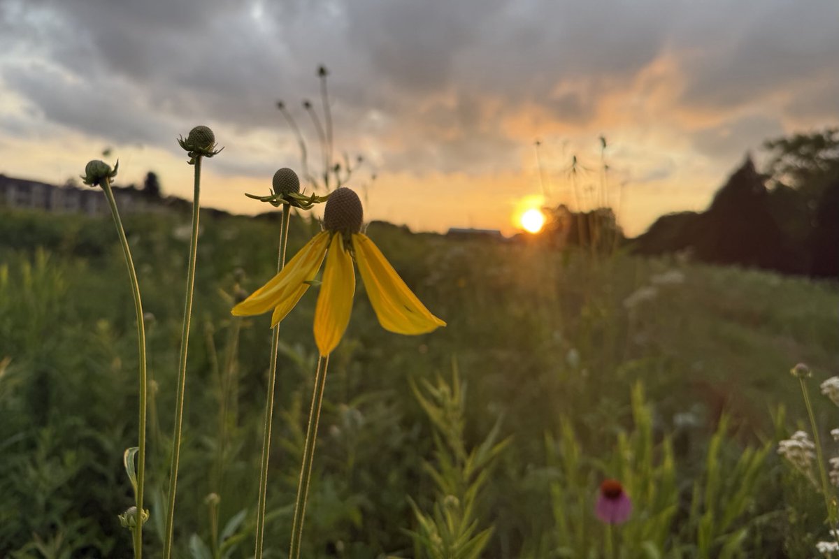 Sam Oldenburg tweet media