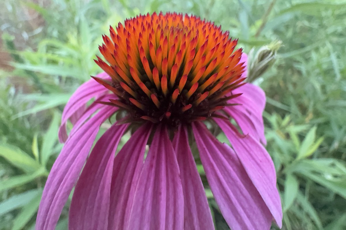 Sam Oldenburg tweet media