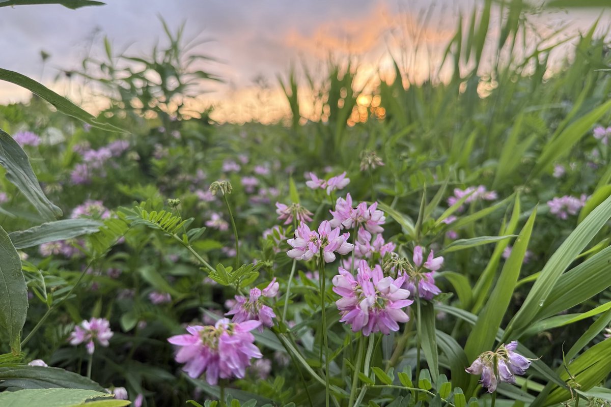 Sam Oldenburg tweet media