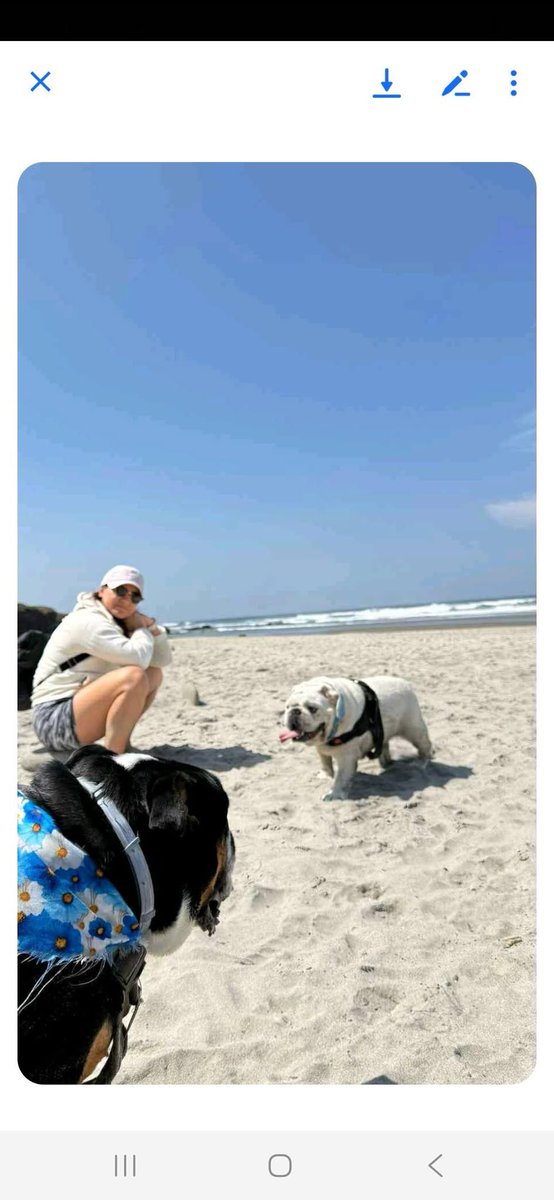 “COURTESY POST” 
Attention all of you Bulldog fans!!!!
All the information is here and the link to apply to Furever Freed Dog Rescue
 
Accepting applications for BONDED BULLDOGS

Sex: Female 
Weight: 40 
Age: 4 years old 
Vaccines
Spayed
Bull dog

Name: Mondu
Sex: Male
Weight: 48