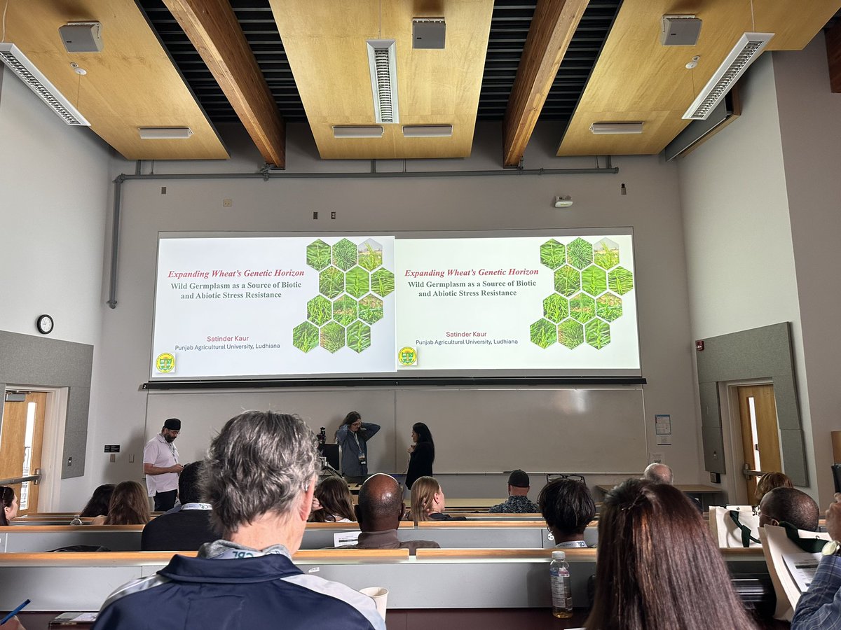 Simranjeet Kaur (@scientiakaur) on Twitter photo Wonderful presentation by Dr Satinder Kaur from Punjab Agricultural University โ the same place where I did my bachelorโs. Feeling proud and motivated!
<a href="/PAU_LDH/">Punjab Agricultural University Ludhiana</a> #ICRPMC2025 Wonderful presentation by Dr Satinder Kaur from Punjab Agricultural University โ the same place where I did my bachelorโs. Feeling proud and motivated!
<a href="/PAU_LDH/">Punjab Agricultural University Ludhiana</a> #ICRPMC2025