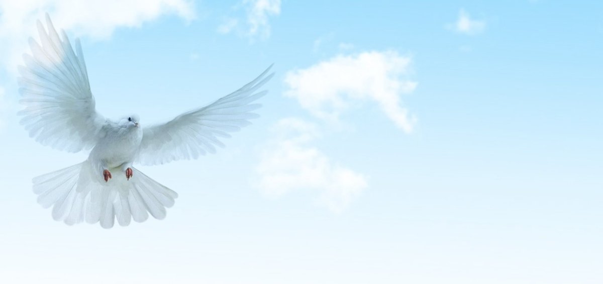 اللهم ألف بين قلوبنا ، وأصلح ذات
بيننا ، واهدنا سُبل السلام اللهم إننا
سائرون في هذه الحياة وما من قوة
نستند عليها غير أننا نلوذ بالدعوات .
#صباحيات
#صباح_الخير