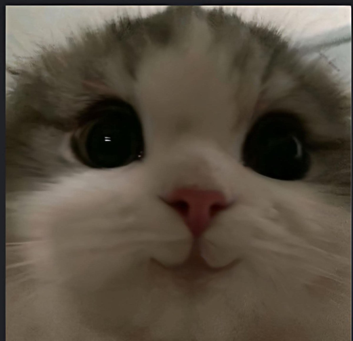 Le dije al Jefe: ahorita vengo voy al baño, pero como no le dije a cual me vine al de mi casa...