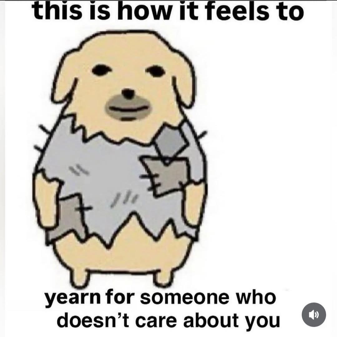 Alien Perspective (@wigglyair) on Twitter photo 