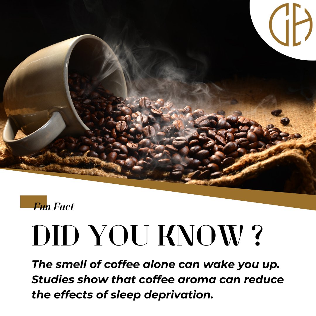 coffeehivein's tweet image. It&apos;s Fact Time.

#CoffeeHive #factpost #CoffeeCulture #facts #coffeefact #wednesdaywisdom #coffeeday #wednesdayvibes #NoidaCoffee