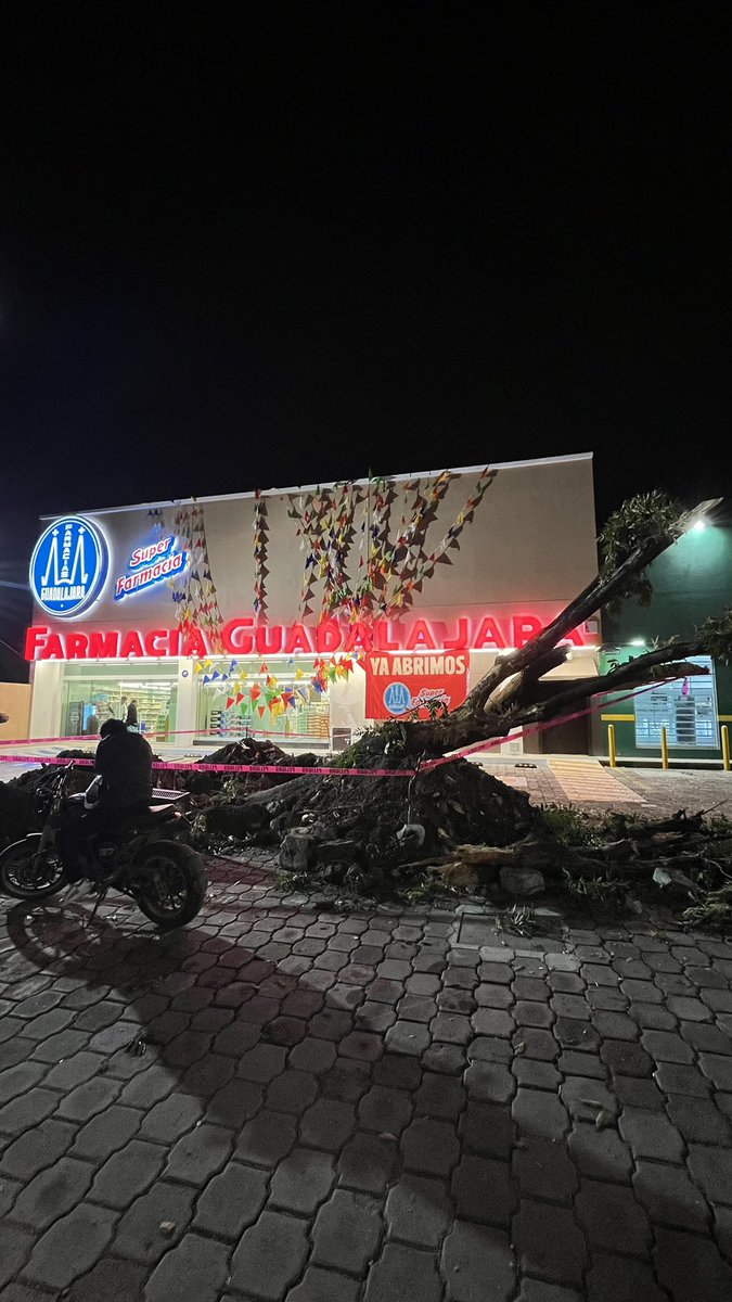 Pues al final el <a href="/PueblaAyto/">Puebla Gobierno de la Ciudad</a> sí permitió que Farmacia Guadalajara matara un árbol en Bulevar Carmelitas frente a Galaxia Castillotla.

¡Qué poca madre!