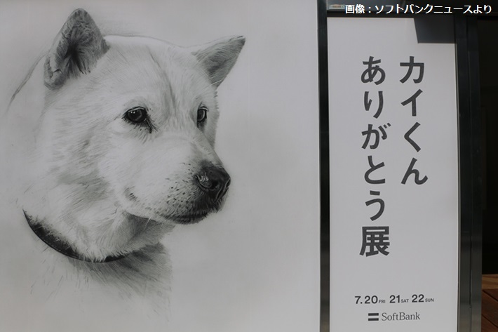 追悼】本日6月28日でカイくんが天国へ旅立ってから7年 ソフトバンクの