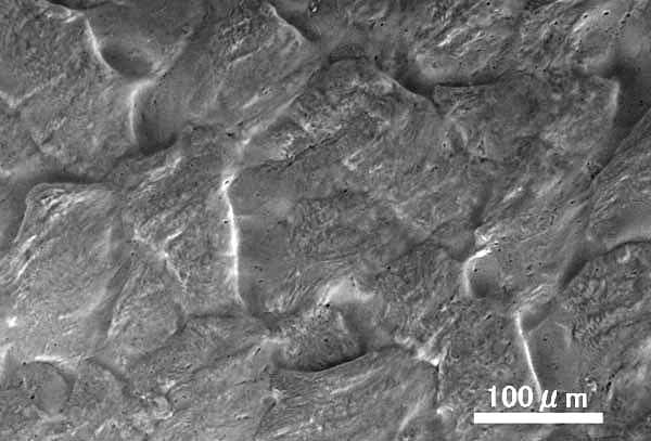 Hitachi Electron Microscope (@hitachi_em) on Twitter photo Happy International Sushi Day ! 🍣🥢🐟🦐🐙🦑🐚
(June 18)
#ElectronMicroscope #electronmicroscopy #InternationalSushiDay
Cross sections of medium-fatty tuna cut with a sharp sashimi knife, a sharp kitchen knife, and a dull kitchen knife
Visit our YouTube channel to find out more Happy International Sushi Day ! 🍣🥢🐟🦐🐙🦑🐚
(June 18)
#ElectronMicroscope #electronmicroscopy #InternationalSushiDay
Cross sections of medium-fatty tuna cut with a sharp sashimi knife, a sharp kitchen knife, and a dull kitchen knife
Visit our YouTube channel to find out more