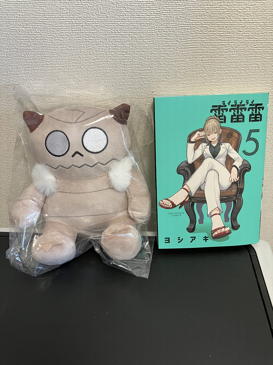 ダストキングが届きました。