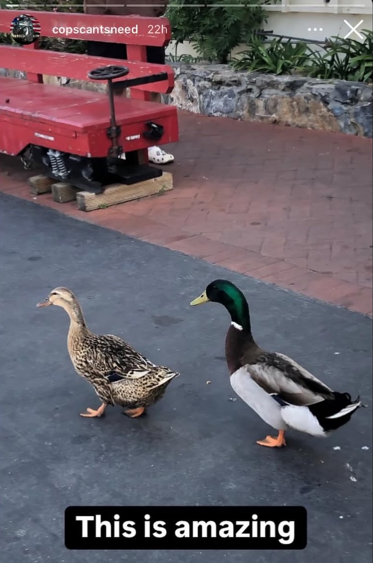 Images AI Could Never Recreate (@imagesaicouldnt) on Twitter photo 