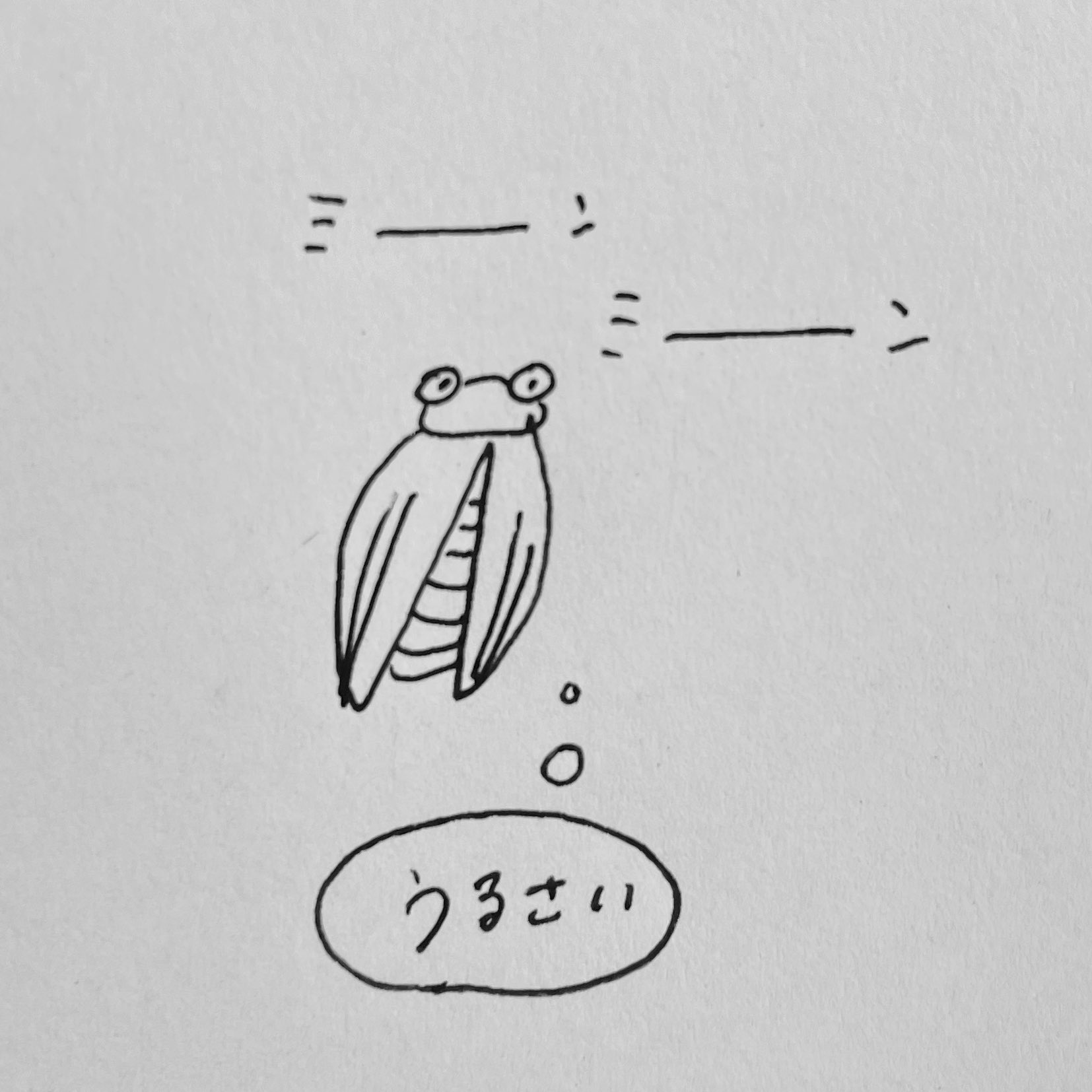 天然石 おめめちゃん 天然石 おメメちゃん まとめて - メルカリ