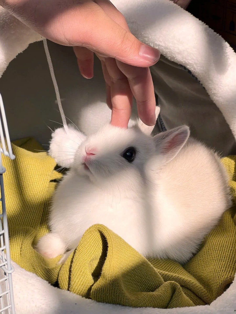 하 진심 누가 누구를 귀여워하는거임 개귀여워