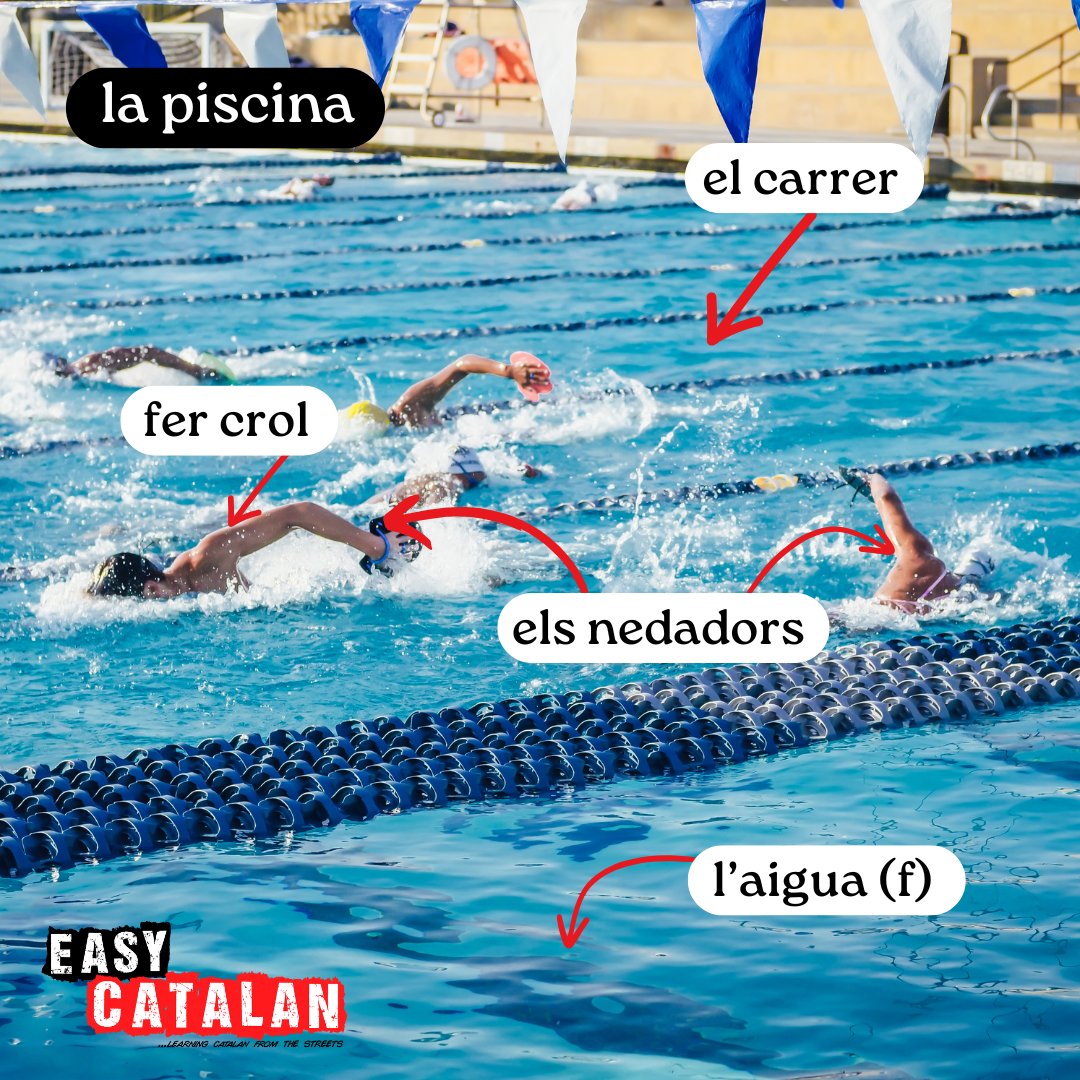Ets més d'aigua dolça o d'aigua salada? 🏊

VOCABULARI 📝
la piscina / piscina / pool
el carrer / carril / lane
fer crol / hacer crol / to swim front crawl
els nedadors / nadadores / swimmers
l'aigua (f) / agua / water

#Catalan #swimmingpool #language