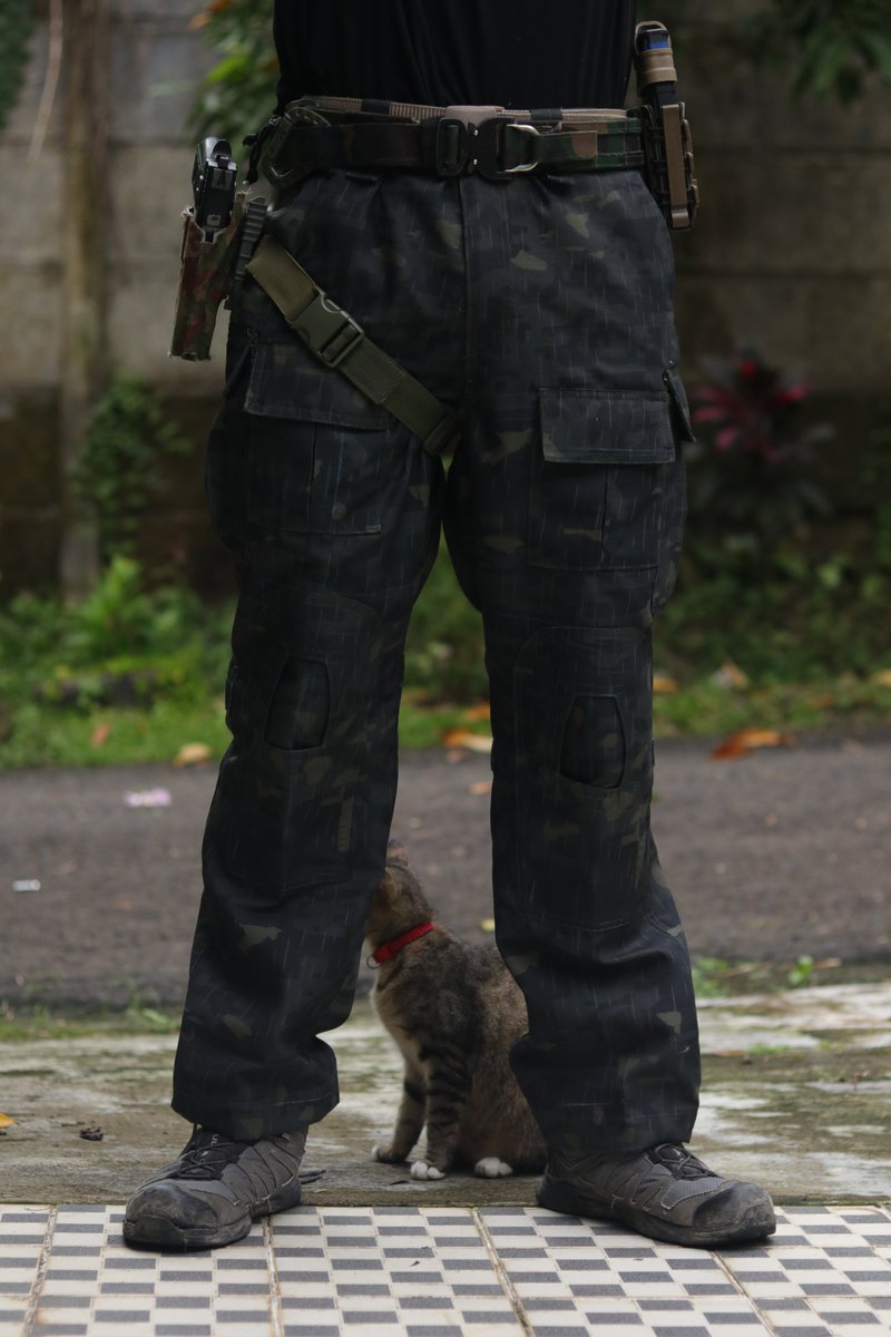 New Product : Neko Armory  Combat Cargo