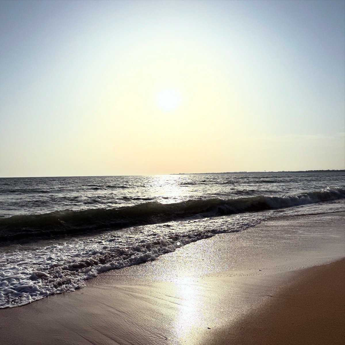 Currino's tweet image. Los lunes el sol